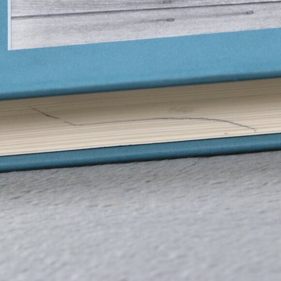 Out of the Dust by Karen Hesse Hardcover Newbery Medal Winner Scholastic Edition - Picture 8 of 9